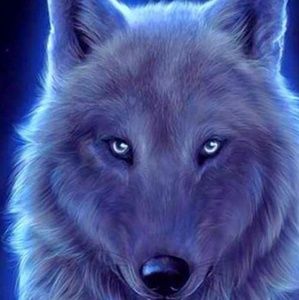 Meet your Posher, Ericka